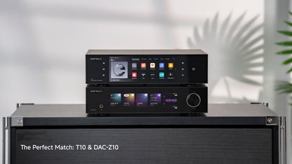 EverSolo T10