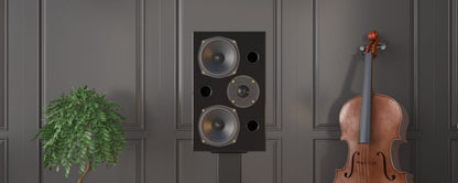 ACOUSTIC ENERGY AE2 40th Anniversary