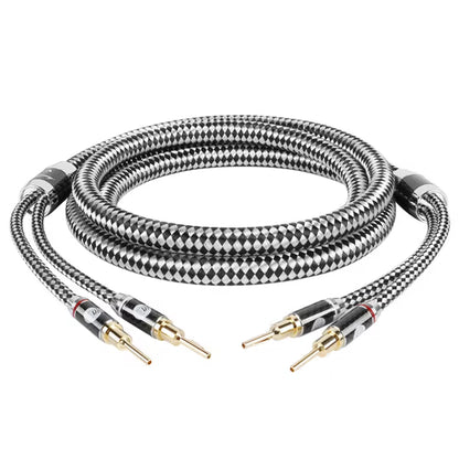 Boaacoustic Argentum SILVER.sonic-16 (Aussteller)