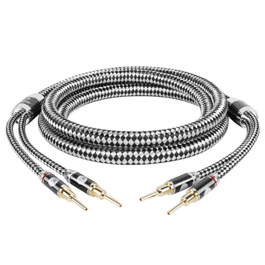 Boaacoustic Argentum SILVER.sonic-16 (Aussteller)