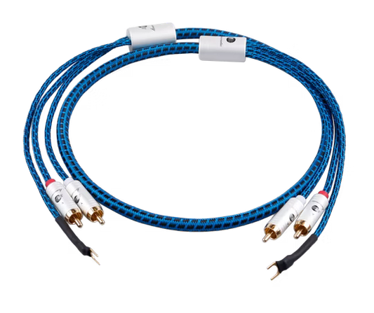 Boaacoustic Blueberry SIGNAL.phonocinch