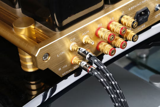 Boaacoustic Evolution BLACK.sonic-17.biWire