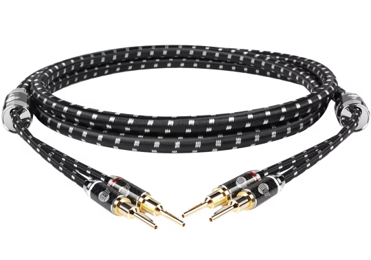 Boaacoustic Evolution BLACK.sonic-16