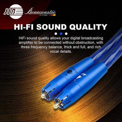 Boaacoustic Precision BLUE.RCA