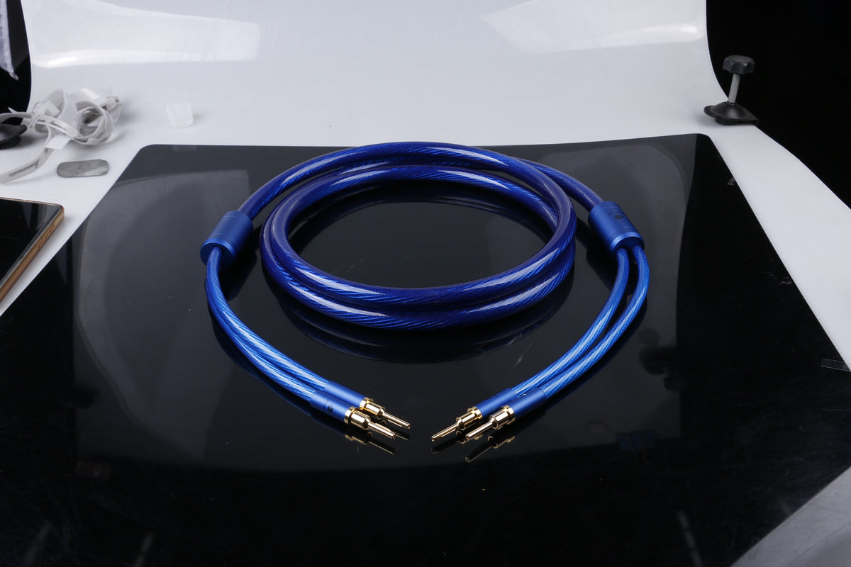 Boaacoustic Precision BLUE.sonic-16