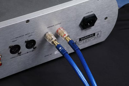 Boaacoustic Precision BLUE.sonic-16