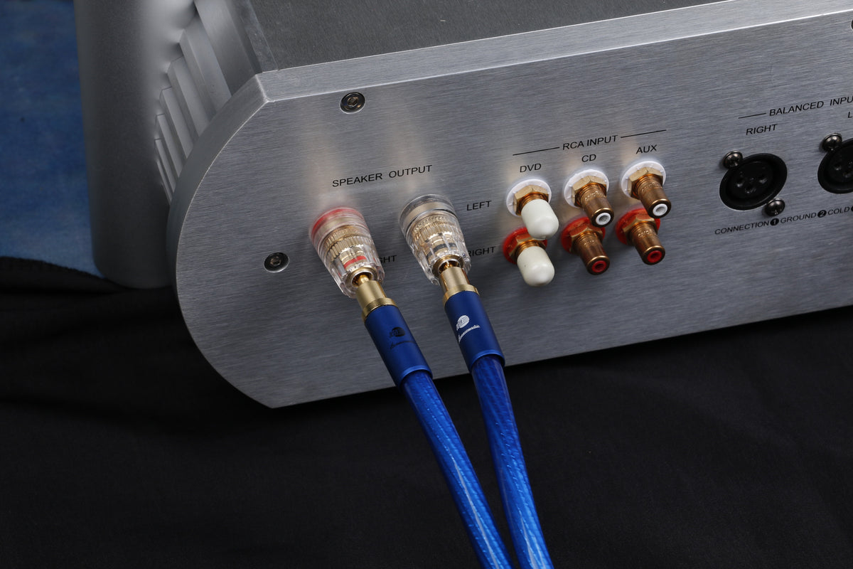 Boaacoustic Precision BLUE.sonic-16