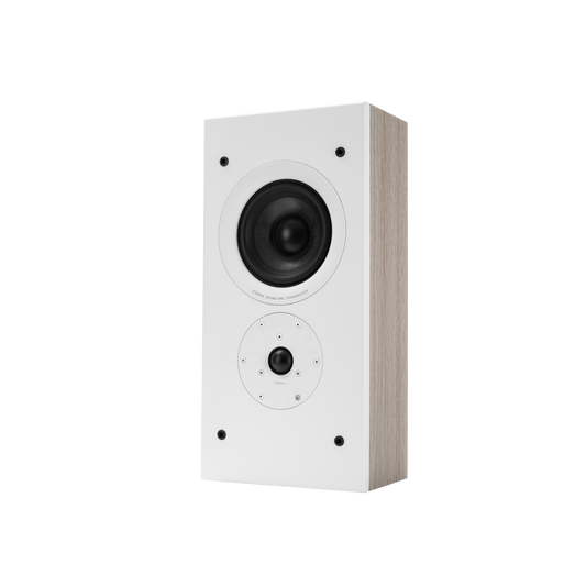 STARKE SOUND Brio Beta5W