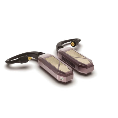 iFi GO pod Max