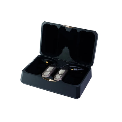 iFi GO pod Max