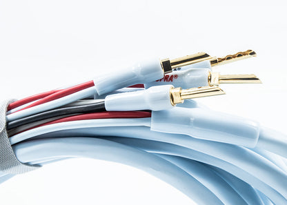 SUPRA Cables RONDO 4X2.5 COMBICON