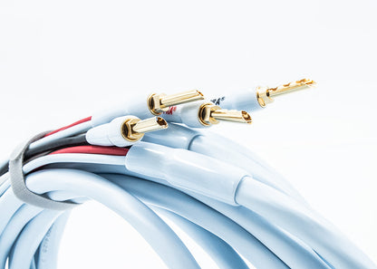 SUPRA Cables RONDO 4X2.5 COMBICON