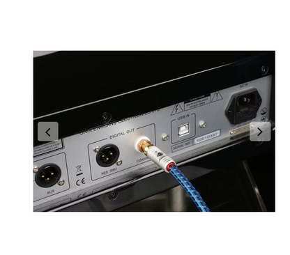 Boaacoustic Blueberry SIGNAL.cinch2