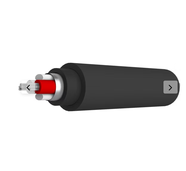 Boaacoustic Blueberry SIGNAL.xlr