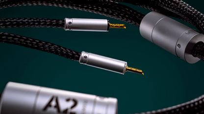 Ansuz Acoustics - Speakz A2 (Aussteller)