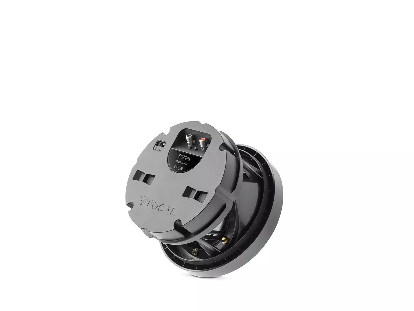 Focal 1000 ICA6