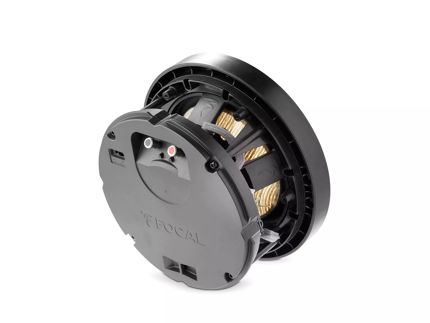 Focal 300 ICW8