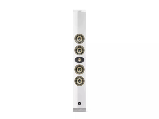 Focal On Wall 302
