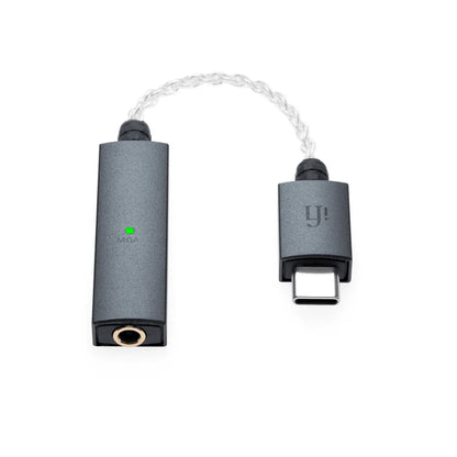 iFi GO link