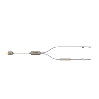 iFi GO cable