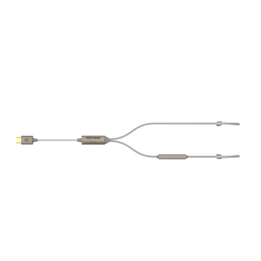 iFi GO cable
