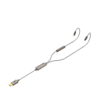 iFi GO cable