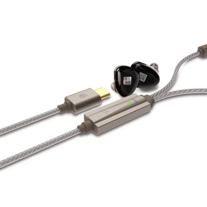 iFi GO cable
