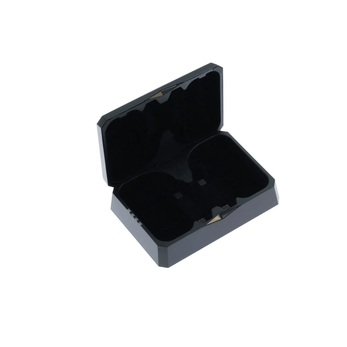 iFi GO pod